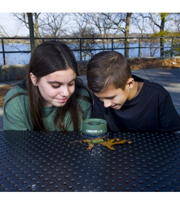 Carson BugLoupe™ 4.5